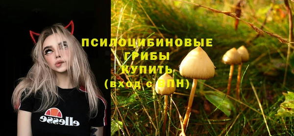 круглые Карпинск