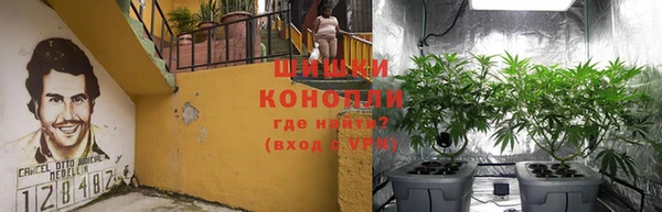 круглые Карпинск