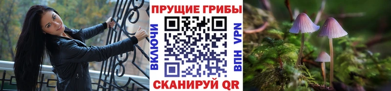Псилоцибиновые грибы мухоморы  Купить  Тбилисская 